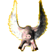 vipri