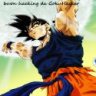 GokuHacker