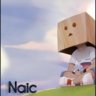 Naic