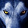 Wolf96