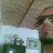 brusky7979