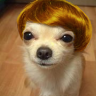 yellow.png