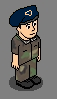 CamoAirForcehabbo.png