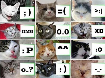 Gatti_emoticons.jpg