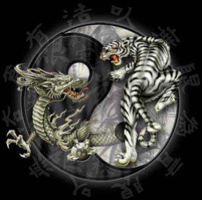 Tiger%20et%20dragon.jpg