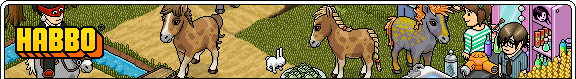 emailHeader_horses.gif