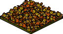 autumnrug.png