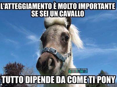 i1z15-TUTTO-DIPENDE-DA-COME...TI-PONY1.jpg