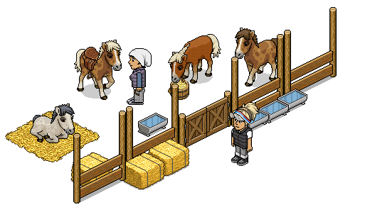 article_horse3.gif