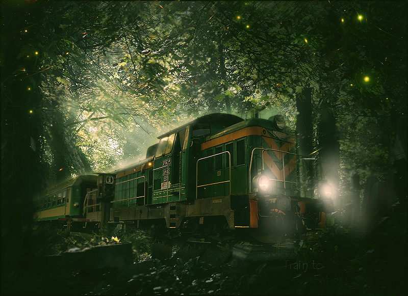 Train_to_Faboulus_Life_LP_by_iiSunsh1ne93x.png