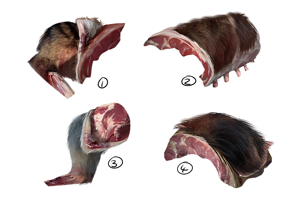 wolf-meat-see-through%20%281%29.png