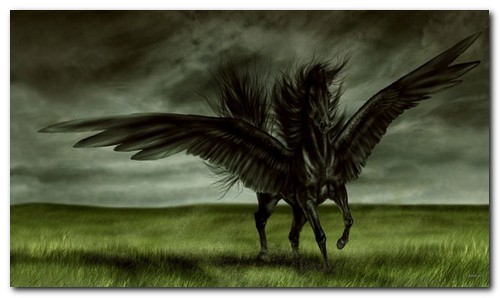 black-horse-wallpaper.jpg