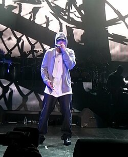 250px-Eminem_at_DJ_Hero_Party.jpg
